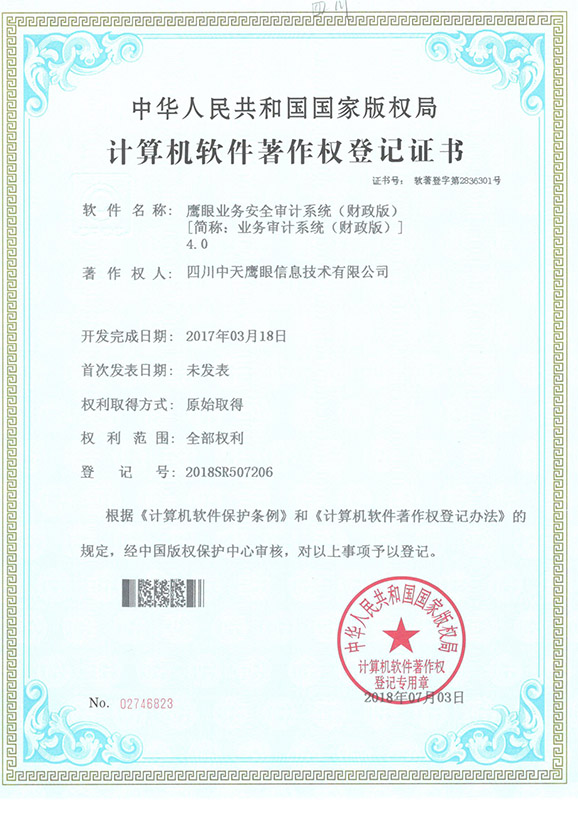 鹰眼业务安全审计系统（财政版）